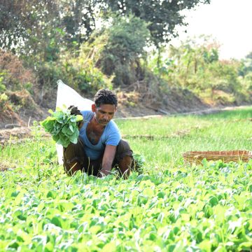 सहकारी भूमि विकास बैंक से 5% ब्याज पर कृषि लोन:राज्य सरकार ने किसानों को दी राहत