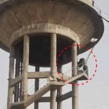 पानी की टंकी पर चढ़ा सांड:लोगों की भीड़ जुटी, 30 फीट की ऊंचाई तक पहुंचा; बेहोश कर क्रेन से उतारा पानी की टंकी पर चढ़ा सांड:लोगों की भीड़ जुटी, 30 फीट की ऊंचाई तक पहुंचा; बेहोश कर क्रेन से उतारा