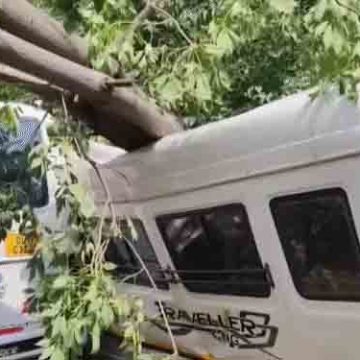 यूपी में आंधी-बारिश से 58 की मौत,महिला की गर्दन कटी:राजस्थान में 48 डिग्री पारा, पुंछ में तूफान से स्कूल ढहे; 31 राज्यों में अलर्ट