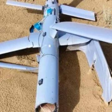 श्रीगंगानगर जिले में भारत-पाकिस्तान सीमा से 15 किमी दूर मिला ड्रोन, बीएसएफ ने शुरू की जांच