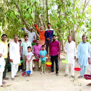 h01 बेजुबान पक्षियों के लिए बांधे परिंडे