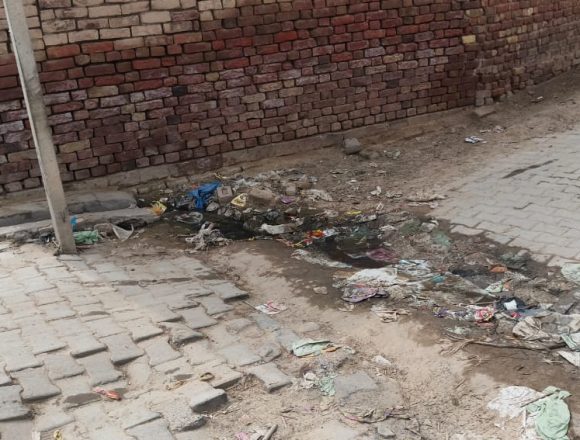 चरमराई सफाई व्यवस्था, हो रही खानापूर्ति