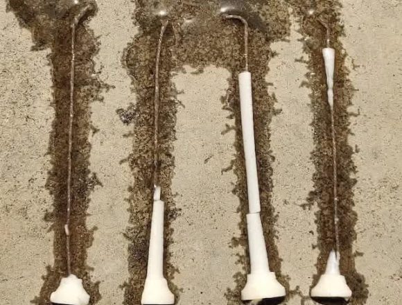 भीषण गर्मी और लू के थपेड़ों से जनजीवन अस्त-व्यस्त
