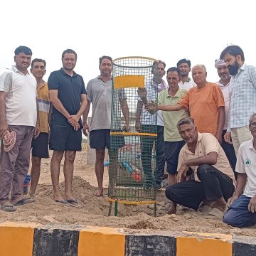 स्मृति में पौधारोपण, डीटीओ ने की शुरुआत