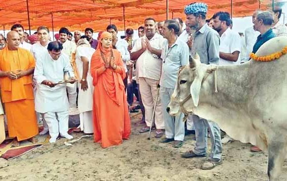 Gaushala यहां बनेगी देश की सबसे बड़ी गोशाला, 1000 करोड़ होंगे खर्च