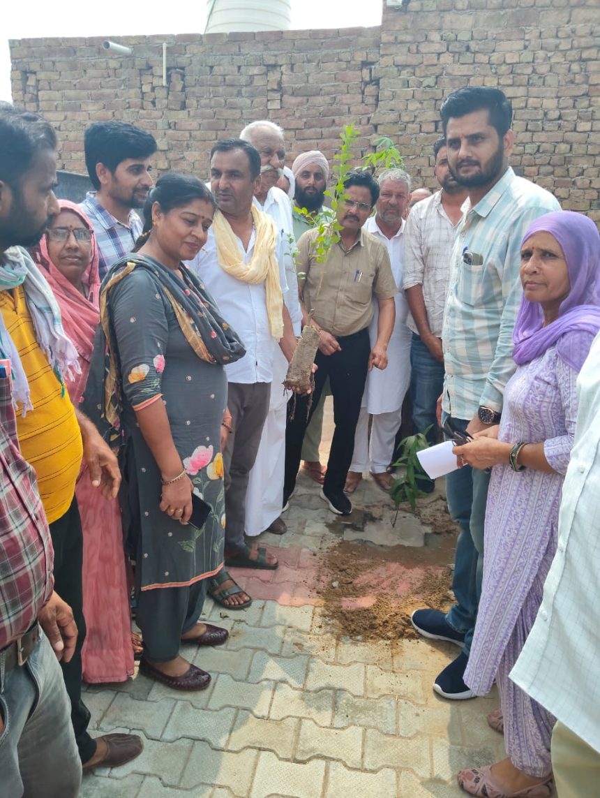 h04 शिविर में पौधरोपण, समझाया पेड़ों का महत्व
