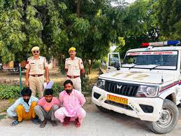 अनूपगढ़ में 3 वारंटी समेत 6 आरोपी गिरफ्तार अनूपगढ़ में 3 वारंटी समेत 6 आरोपी गिरफ्तार