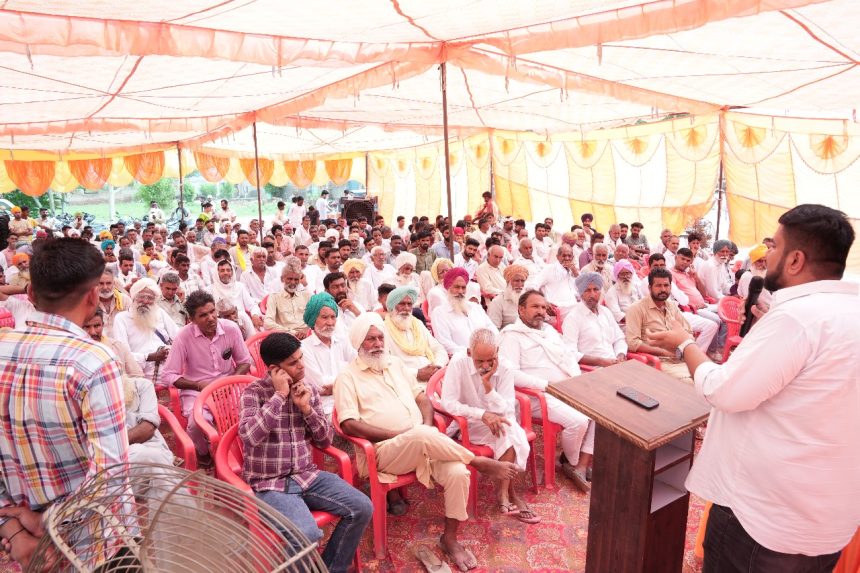 dhaban001 गुलाबी सुंडी के प्रबंधन के लिए 1500 फैरोमोन ट्रैप नि:शुल्क वितरित